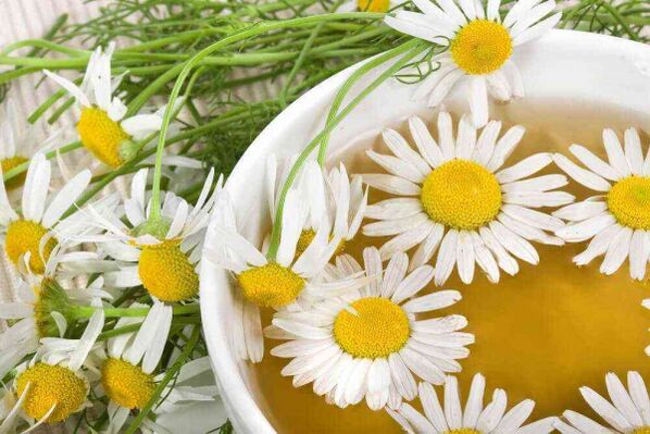 a decoction of chamomile to increase potency